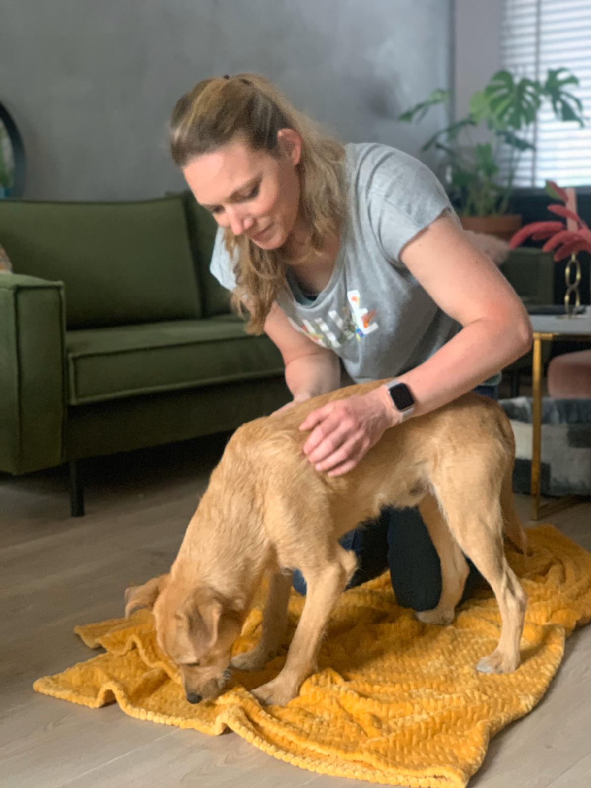 osteopaat voor honden
