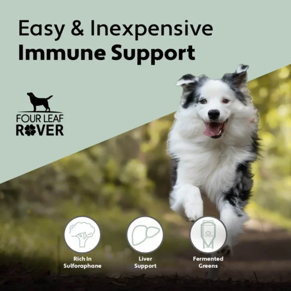 Green Rover | Detox Biologische voor honden - Afbeelding 4