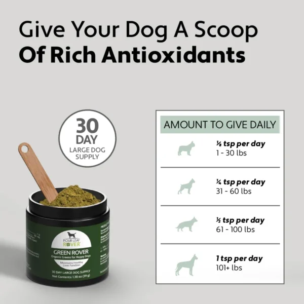 Green Rover | Detox Biologische voor honden - Afbeelding 5